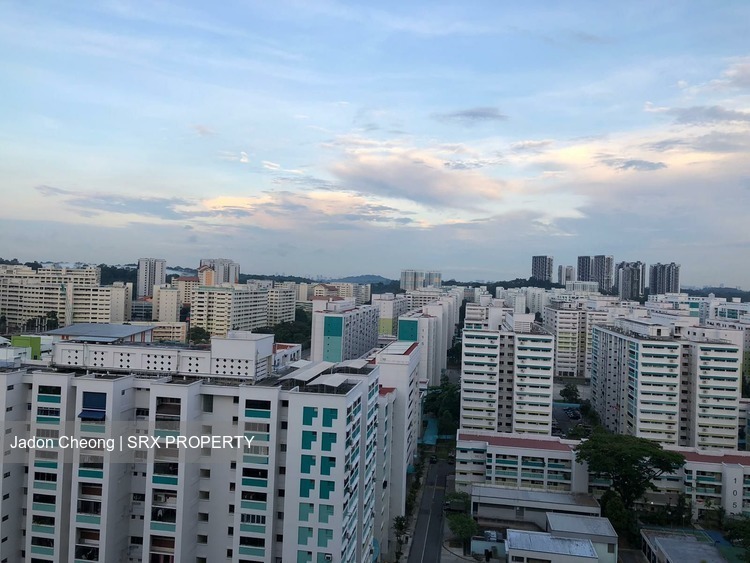 Blk 172 Gangsa Road (Bukit Panjang), HDB 4 Rooms #206877131